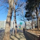 이마트 트레이더스 사거리(트레이더스쪽) 네이버블로그
