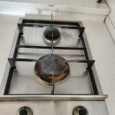 대선월드피아 이미지