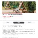 제주 스누피가든 입장료 할인 팁과 후기 feat 지도 사이트 링크