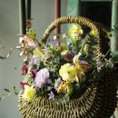 플로리스트 초중급 이미지