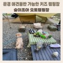 경북 키즈캠핑장 문경 숲이조아 오토캠핑장 애견동반가능 사이트 G6 G7 방문 및 자리배치
