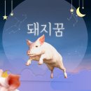돼지꿈 - 충주시 행정10길 14 | 돼지꿈