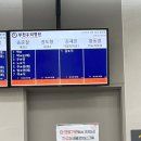 [금천구] 희명병원 응급실 장염 3박4일 입원 후기 / 입원 준비물