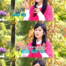 뉴힐링캠프 이미지