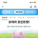 지그재그 포인트팟 모으기 이미지