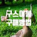 o.k세탁소 - 정읍시 관통로 10 | 알레르망구스이불 & 소프라움구스이불 구매후기, 구스이불 세탁법과 보관법