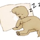 푸들푸들 이미지