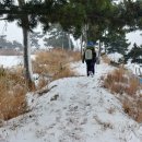 뽀드독 | 태안 해변길 겨울 트레킹 하이킹 걷기여행 후기