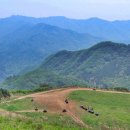 국립유명산자연휴양림 이미지