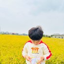 #모현동유치원 #익산유치원 ＜1️⃣10월 2주🌾가을풍경이야기나누기,자유놀이놀잇감소개, 매일영어, 자연물고슴도치미술, 산책, 안전교육＞ 이미지