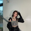 폴럽 Daum카페