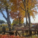 탄금공원 | 아이랑 충주 여행 탄금공원 아쿠아리움부터 라바 랜드까지 하루 알차게!