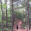 봉제산 등촌동 숲속놀이터 이미지