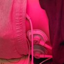 삼성본신경외과의원 이미지