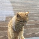 낙천서가 이미지