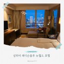 VIP주니어센터 | 상하이 숙소 래디슨블루 뉴월드 주니어 스위트룸, 수영장