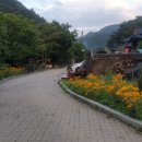 별님이네민박