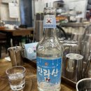 해저3만리 이미지