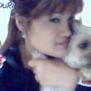 똘이2 이미지