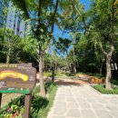 도봉-도봉-서울도봉-2002 이미지