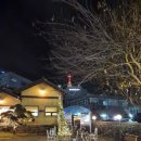 흥부네 두근갈비 | 순천 소갈비 맛집 회식장소추천 흥부네 두근갈비