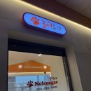 놀러오개 강아지 픽드랍 | [일산애견유치원] 일산애견호텔,일산강아지놀이터 &#39;놀러오개 일산점&#39;