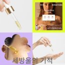 리나농장 이미지