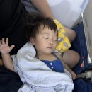 21개월아기랑 삿포로 여행 코트야드 메리어트 숙소 후기