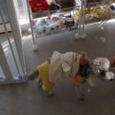 치치까까 이미지