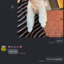퍼피 베어(PUPPY-BEAR) | 강아지미용 반려동물미용 청주 율량동 애견미용샵:: 청주 퍼피안 (puppyan)