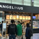 엔제리너스커피 김해공항 이미지