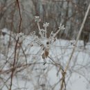 백덕산주유소 이미지