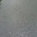 산아래호수 이미지