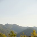 서일교정형외과의원 이미지