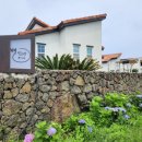 별빛소랑@제주 이미지