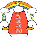 황룡stay 이미지