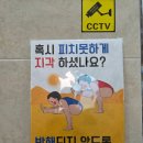 나온요가
