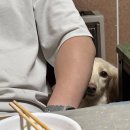 도기캠프 이미지