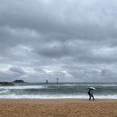 일월세차장 | 혼자 속초 여행 1박 2일(속초 백반 맛집, 카페 추천) / 속초아이파크스위트호텔