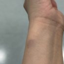 충남다사랑학교 | 왜 벌써 8월 절반이 지났지? 보름동안 약속 없던날 단 3일;;스압주의 (feat. 남친때문에 자다가 눈탱이...