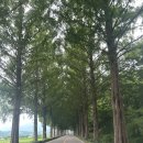 강천 | 🚗무더운 여름 전주 근교 아이와 가볼만한 곳 - 순창 강천힐링스파 방문후기