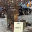 수원-0152 이미지