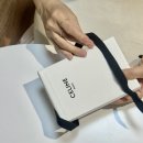 샤이니스킨 | 셀린느 트리옹프 플랩 카드지갑 샤이니 카프스킨 구입 후기
