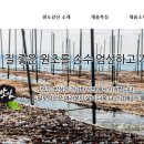 해송식품 이미지