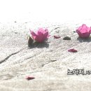 여름특집_발라드 「노다지」 작사 권오정_가수 핑크베리_작 편곡_수노_기획 프로듀서 윤기영 이미지