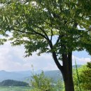 학마을캠프 이미지