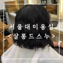 살롱드스누 | [후기] 살롱드스누 :: 서울대 미용실 추천