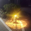 11.05. 언니가 준 미국 보스턴 초콜릿 후기★