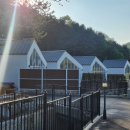 라비드 포레 이미지