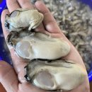 단계할인마트 이미지